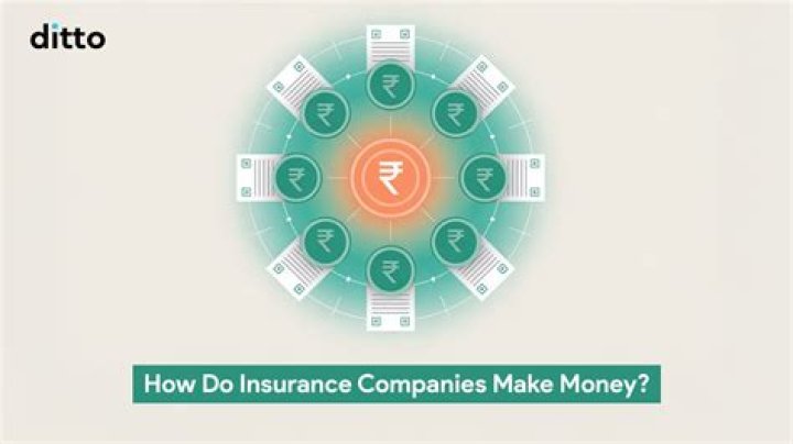 Do insurance companies make money from natural disasters?
