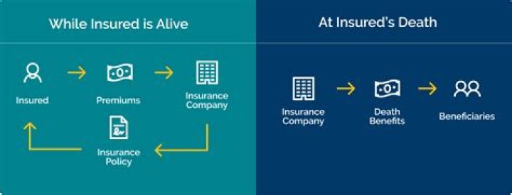 Do life insurance companies know your medical history?