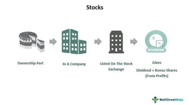 Do stocks give you ownership in a company?