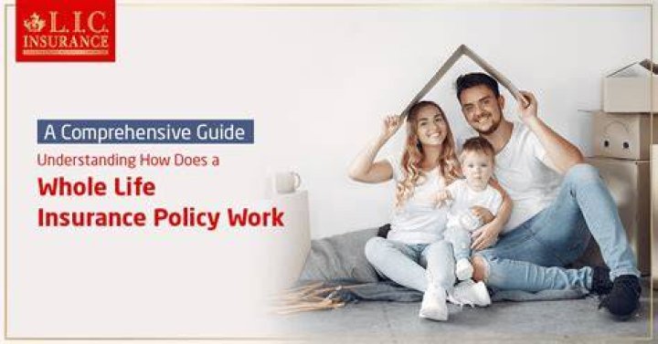 Do you get money back when you cancel a whole life insurance policy?