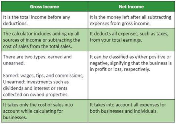 Do you report gross or net income on taxes?
