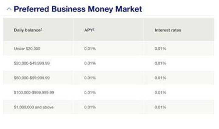 Does a money market account offer interest?