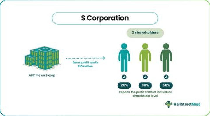 Does an S corp have to have stock?
