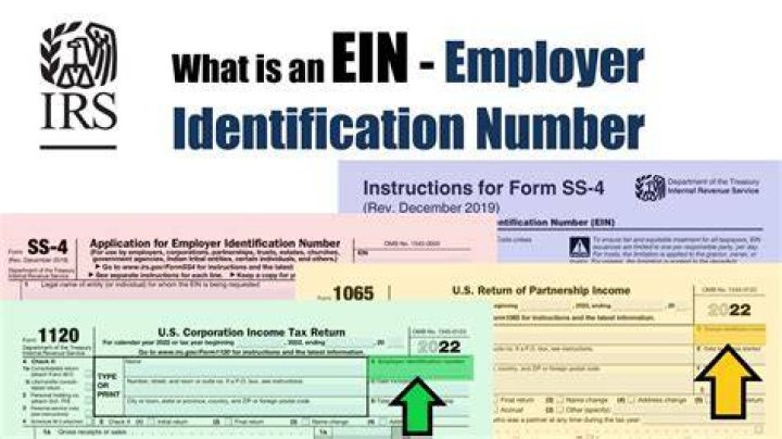 Does EIN or LLC come first?
