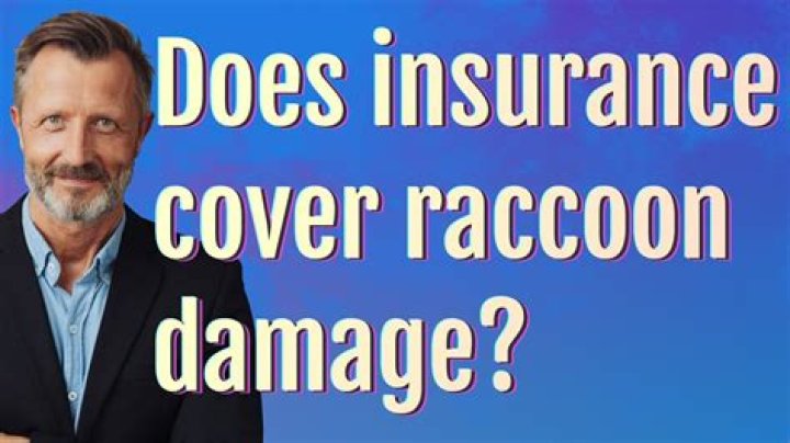 Does Farmers insurance cover raccoon damage?