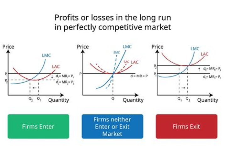 Does firm size affect the firm profitability?