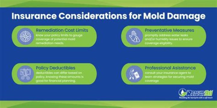 Does home insurance pay for mold removal?