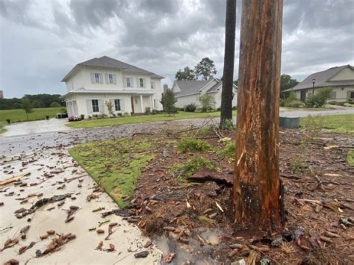 Does homeowners insurance cover removal of trees struck by lightning?