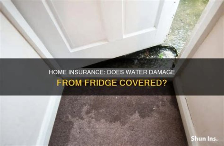 Does homeowners insurance cover water damage from refrigerator?
