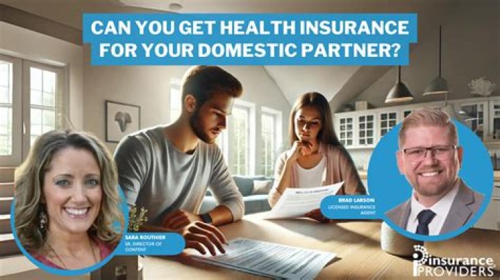 Does Illinois offer domestic partner insurance?