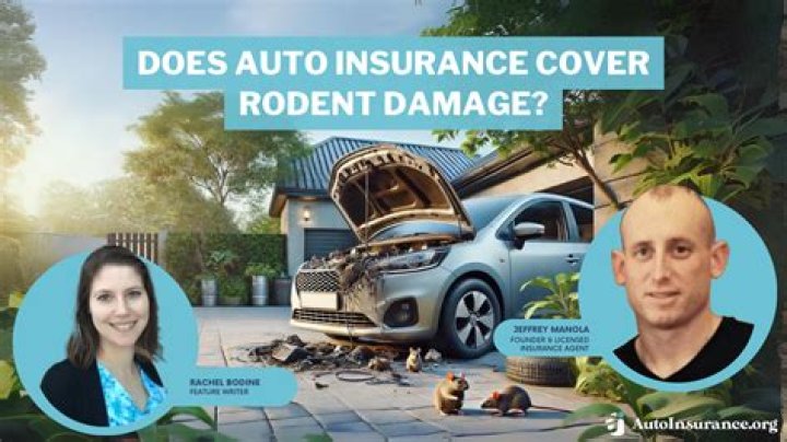 Does insurance cover damage while parked?