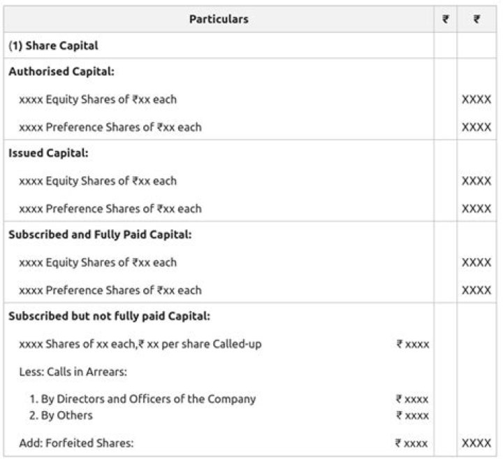 Does paid-up capital include share premium?