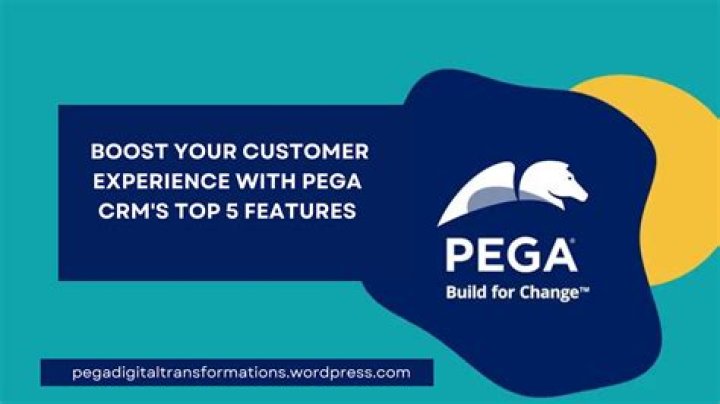 Does Pega have future?