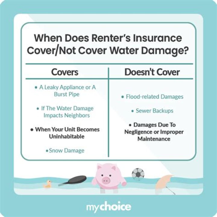 Does renter cover car damage?