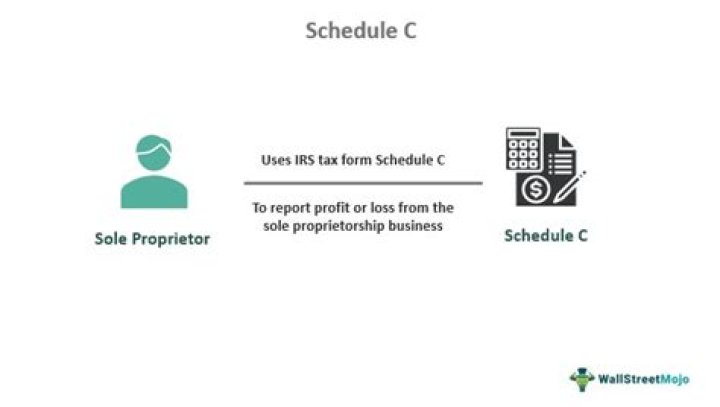 Does sole proprietor need Schedule C?
