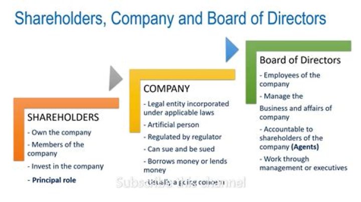 Does the CEO control the board of directors?