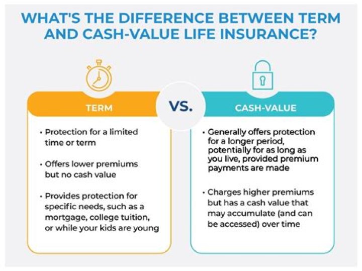 Does voluntary life insurance have cash value?