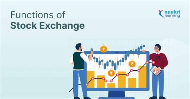 How are Stock Exchanges regulated?