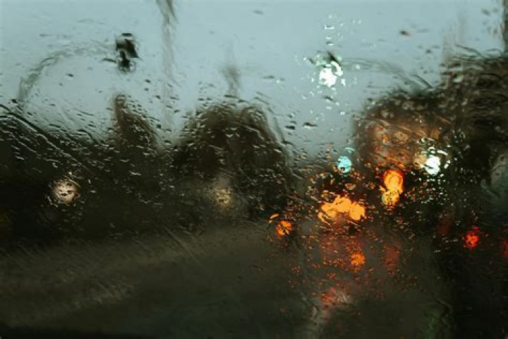 How are weather invests numbered?