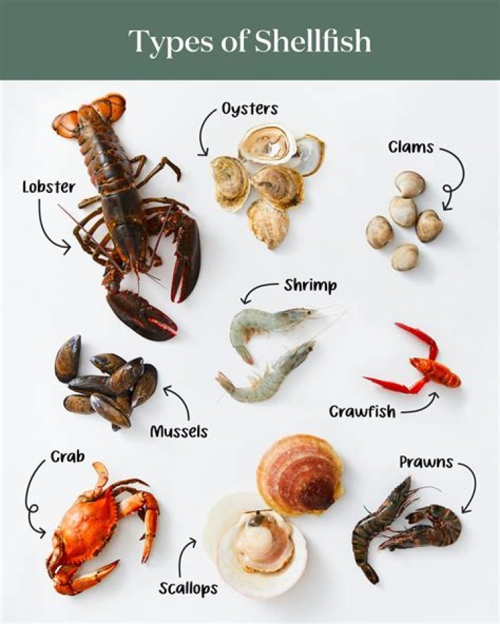 How big is the shellfish industry?