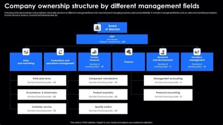 How businesses choose a management structure?