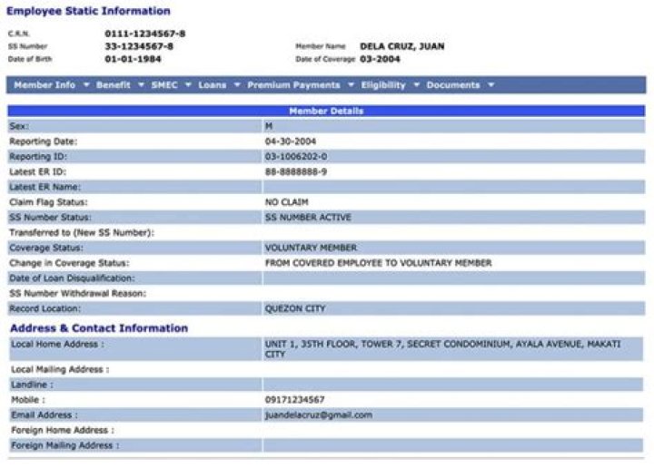 How can I get my SSS employee statistic information?