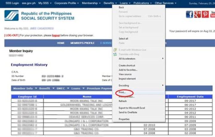 How can I get my SSS static employment history?