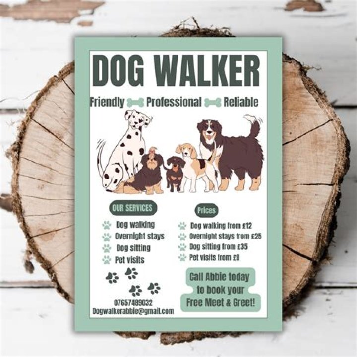 How can I promote my dog walking business?
