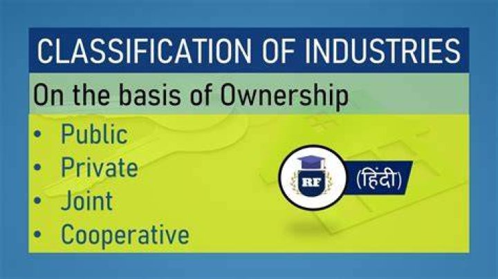 How can we classify industries on the basis of ownership Class 8?