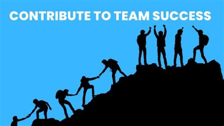 How can you contribute to a new team?