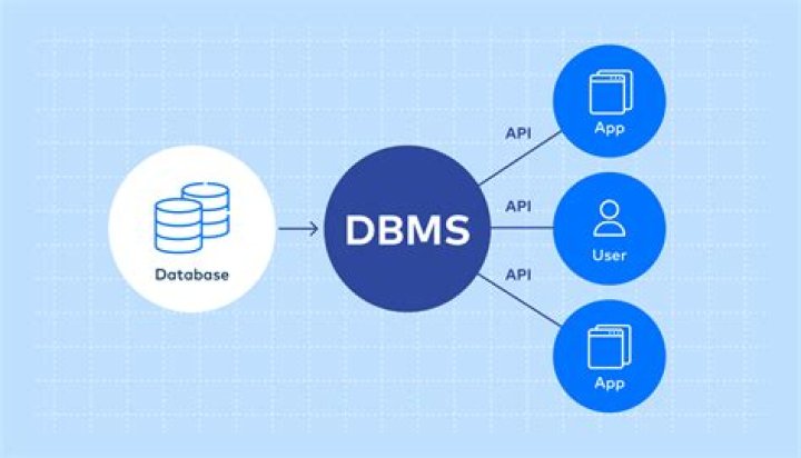 How database are use in the business world?