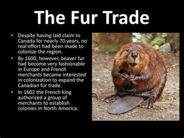 How did fur trade affect natives?