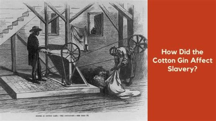 How did the cotton gin affect farmers?