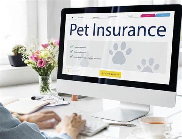 How do I email nationwide pet insurance?