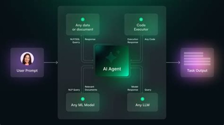 How do I find an agent in China?