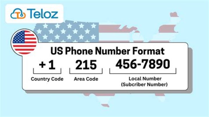 How do I find my LLC phone number?