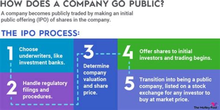 How do I find out if a company is publicly traded?