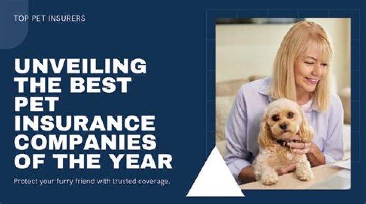 How do I find the best pet insurance?