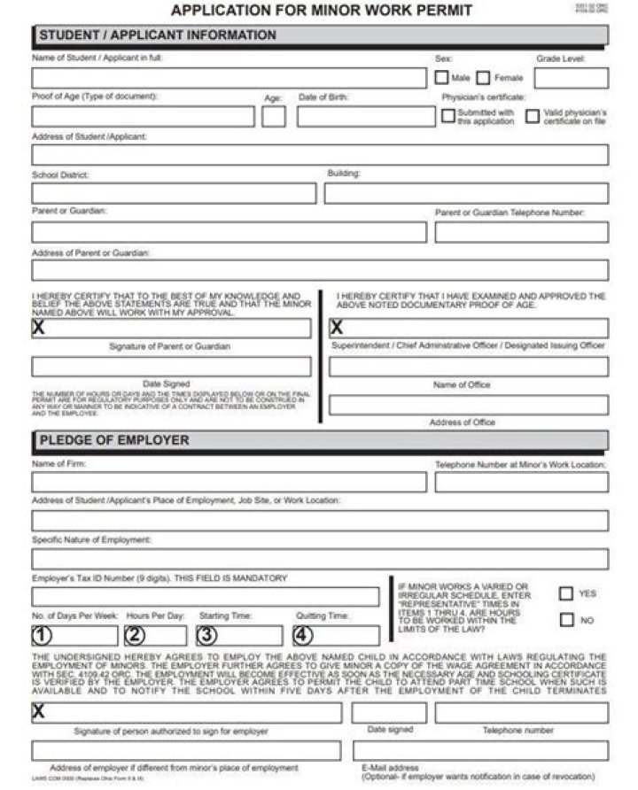 How do I get a minor work permit in Florida?