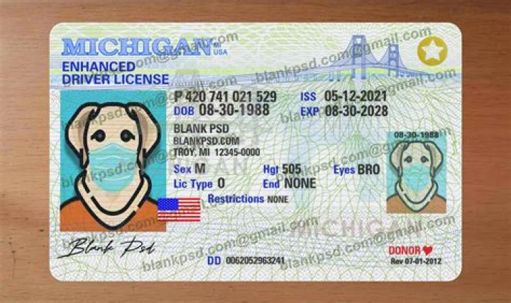 How do I get license tabs in Michigan?