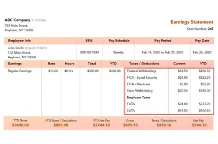 How do I pay my payroll taxes directly?