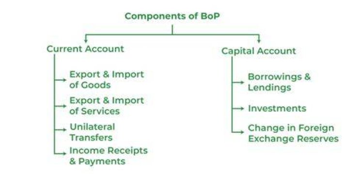 How do I report a payment to a foreign company?