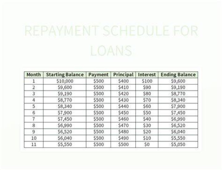 How do I set up a loan repayment plan?