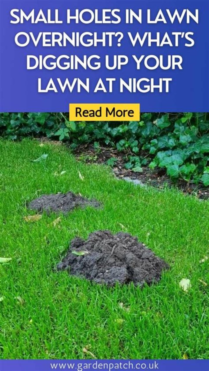 How do I stop my neighbors from blowing up my lawn?