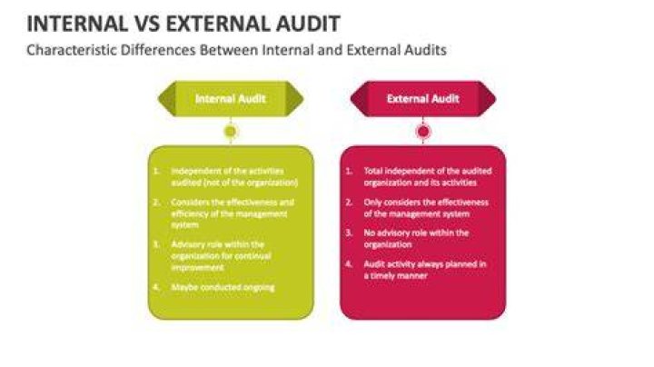 How do internal and external auditors differ and how should they relate?
