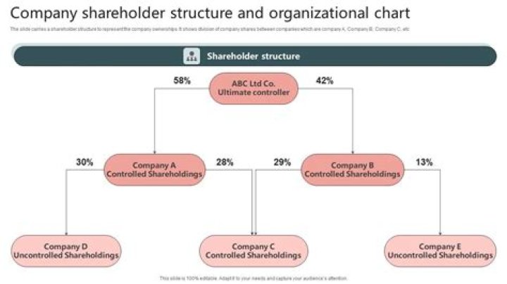 How do shareholders exercise control of the corporation?