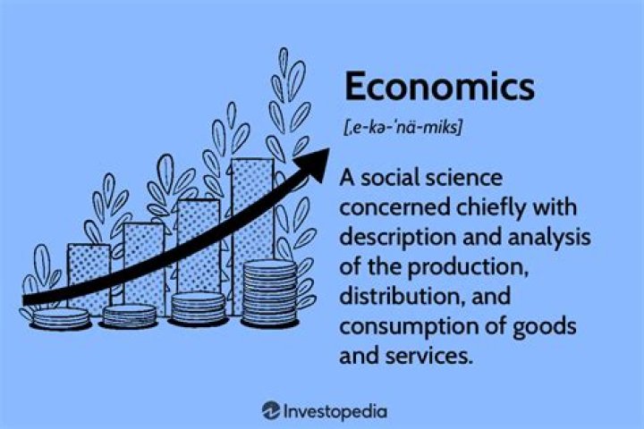 How do the British say economics?