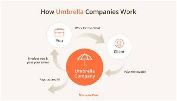 How do umbrella payroll companies work?