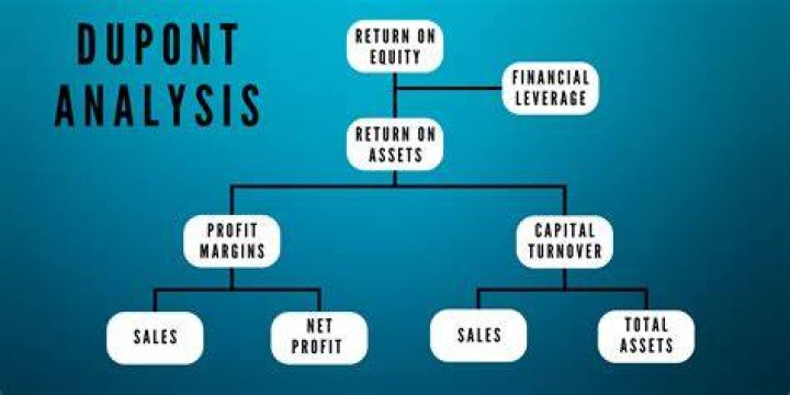 How do you analyze DuPont analysis?