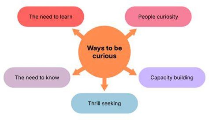 How do you ask curiosity question?
